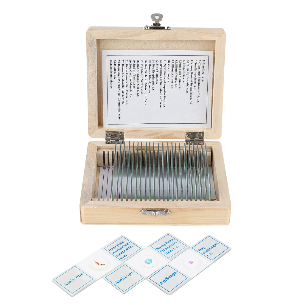 AmScope PB10 Lot De 10 Lames En Verre Pour Microscope - 5 Vierges + 5 Préparées