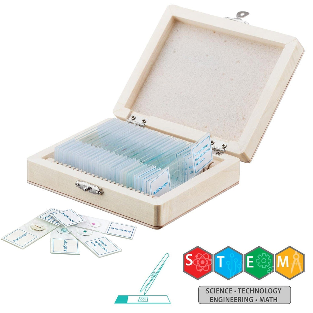 Amscope M40-k-mdm35 Iqcrew De 120 X 1200 Unidades Para Niños | Meses Amscope M40-k-mdm35 Iqcrew De 120 X 1200 Unidades Para Niños | Meses