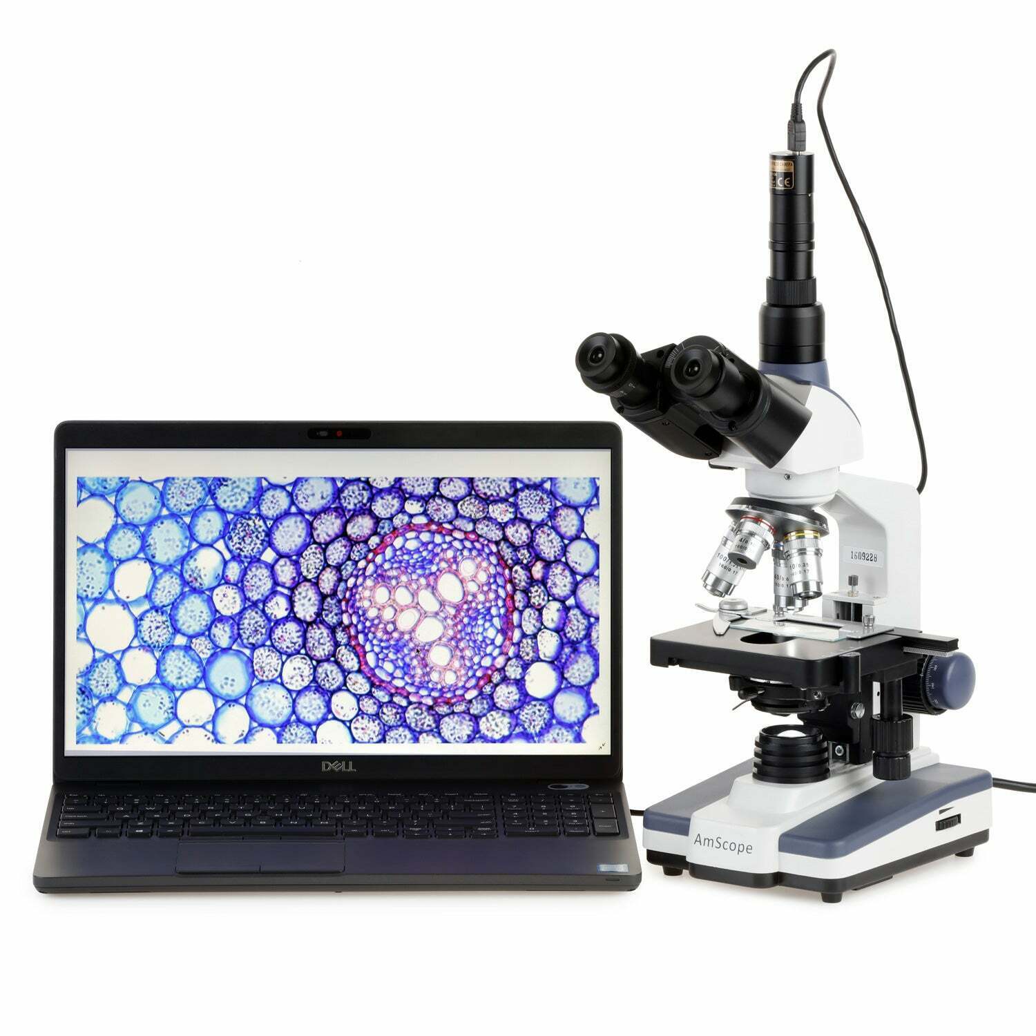 AmScope T120 Series Trinocular Compound Microscope 40X-2500X Magnification with LED, Siedentopf Head and 1MP Digital Eyepiece