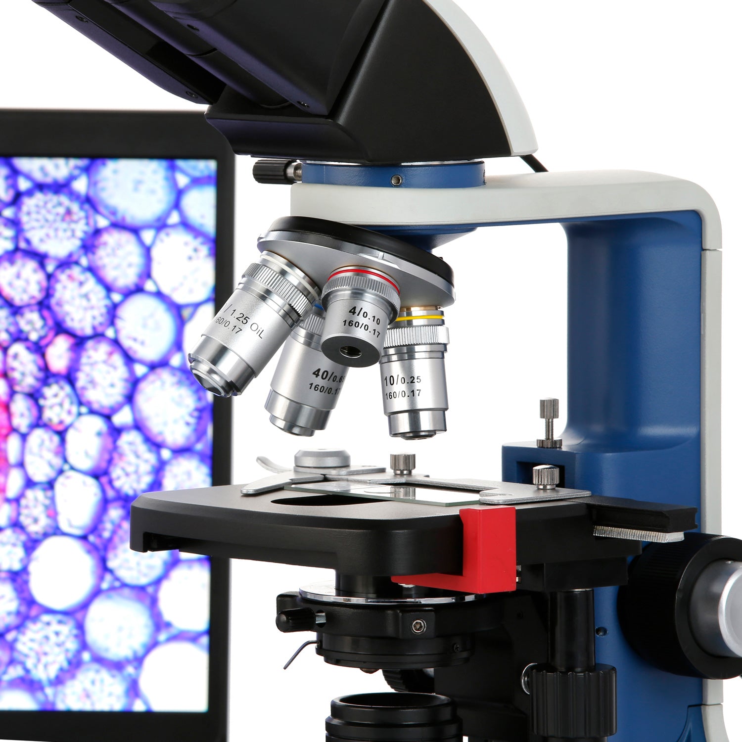 AmScope B120C-R Series USB-C Rechargeable Student Binocular Compound Microscope 40X-2500X Magnification with 3D Two-Layer Mechanical Stage, Achromatic Objectives, & LED illuminator