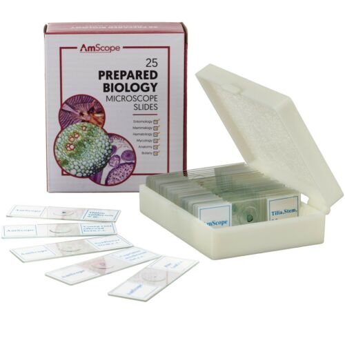 AmScope 25pc Prepared Glass Microscope Slides in Plastic Case with Plant, Fungus, Insect and Mammal Specimens
