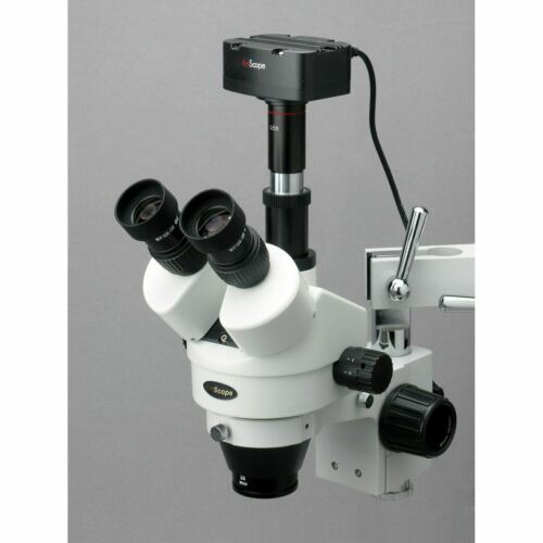 Am Microscope Camera AmScope MA Series 5.0MP USB 2.0 Microscope Camera Compatible With Wind ...