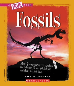 Deluxe 48-Page Full Color Book on Fossils