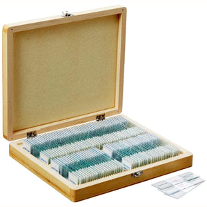 100pc Prepared Glass Microscope Slides in Wood Case with Plant/Botany, Bacteria & Fungus Specimens - SET E
