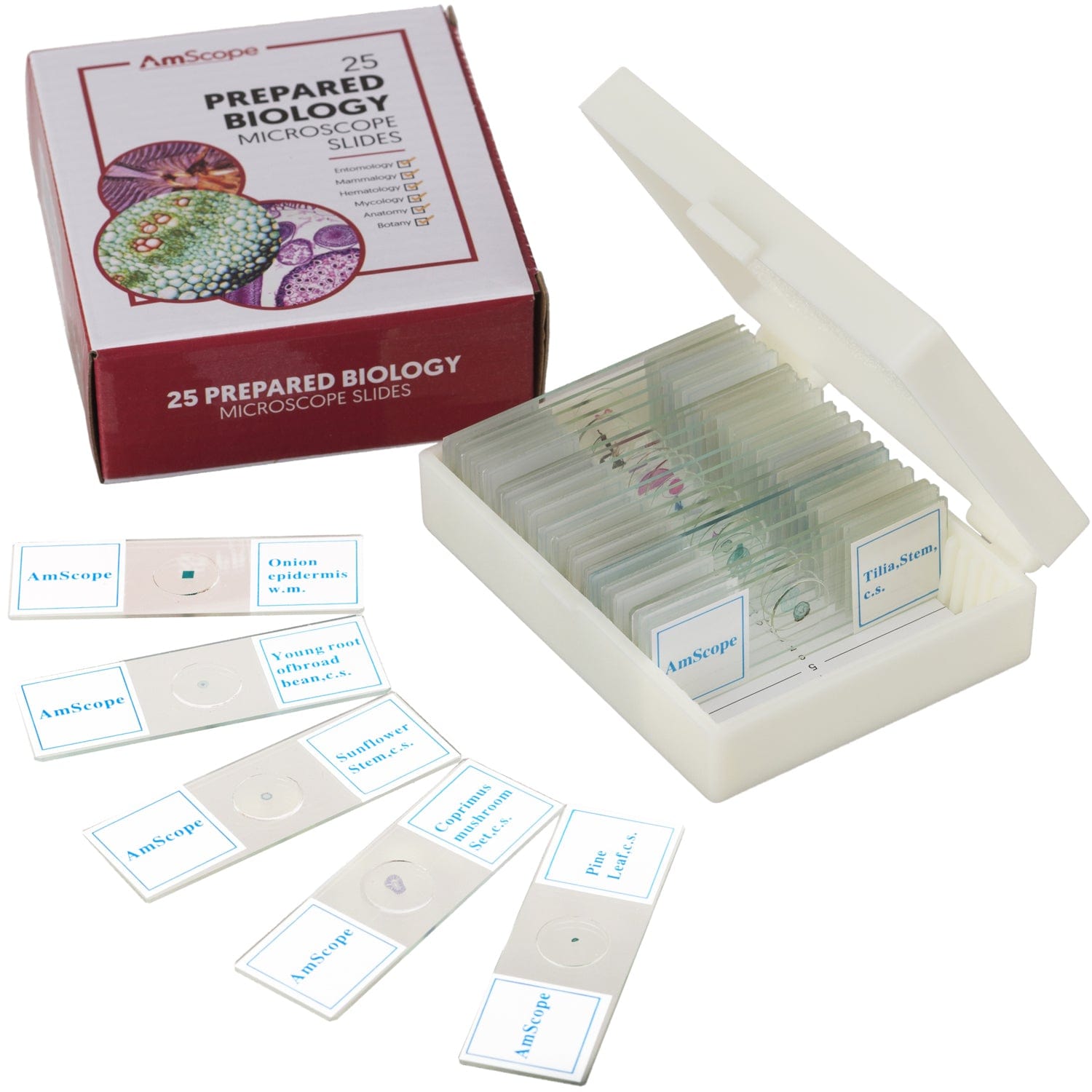 AmScope 25pc Prepared Glass Microscope Slides in Plastic Case with Plant, Fungus, Insect and Mammal Specimens