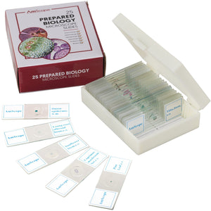 25pc Prepared Glass Microscope Slides in Plastic Case with Plant, Fungus, Insect and Mammal Specimens