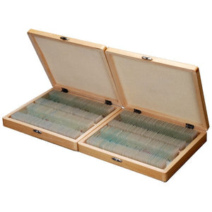 200pc Prepared Glass Microscope Slides in Wood Case with Plant, Fungus, Insect and Mammal Specimens